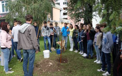 Sajenje drevesa miru – ENO Tree planting day (UNESCO)