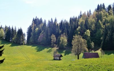 MEPI kondicijski trening